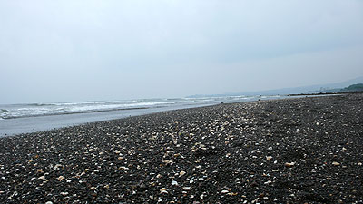 知林ヶ島8