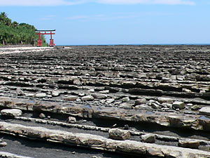 青島2